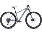 Cube Access WS SLX 2023 - grey´n´silver