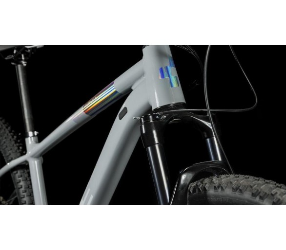 Cube Access WS SLX 2023 - grey´n´silver